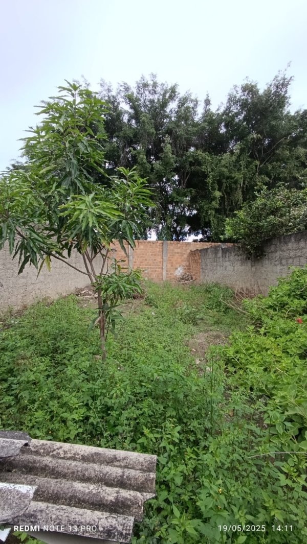 Casa a venda no bairro Palmeira - Image 6