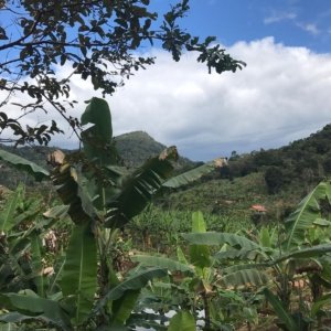 Fazenda Região de Santos Estevão Jaguaquara