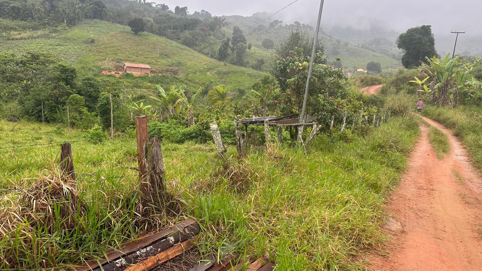 Fazenda Região de Santos Estevão Jaguaquara - Image 8