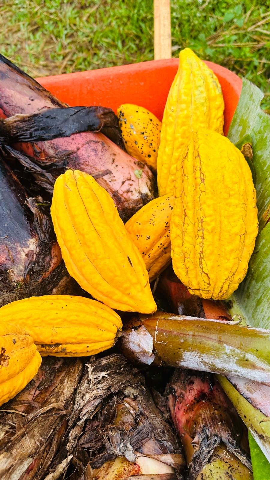 Fazenda Região de Santos Estevão Jaguaquara - Image 9